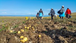 Farm workers